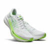 Air Zoom Pegasus
